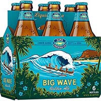 kona-brewing-big-wave-golden-ale-3