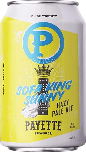 payette-brewing-sofa-king-sunny-2